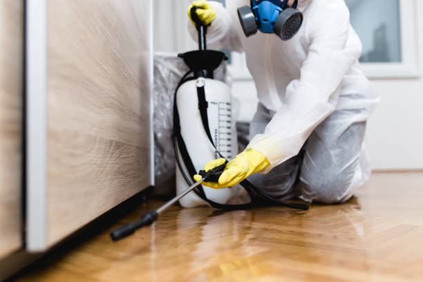 Best Pest Control for Homes  in Hunters Creek, FL